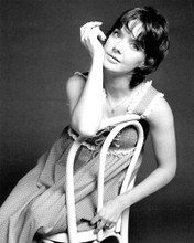 pamela franklin 4