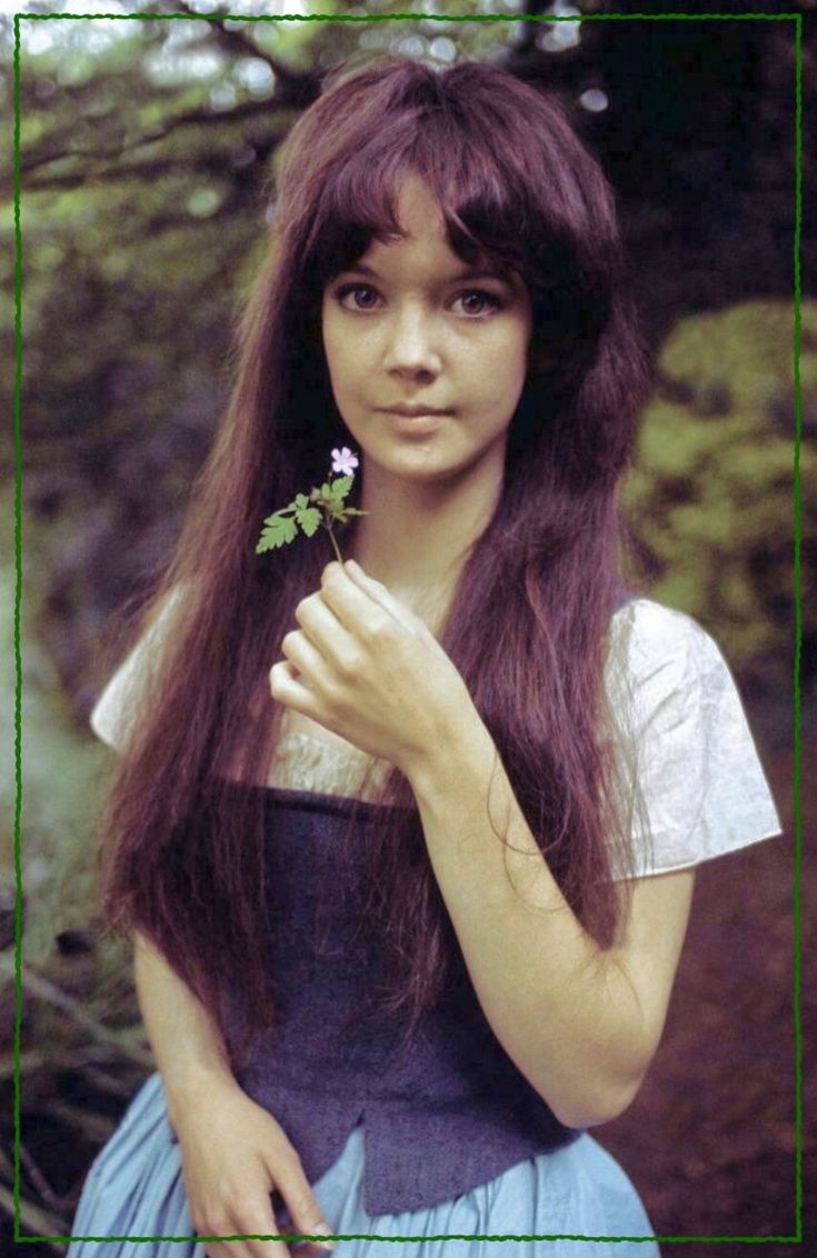 pamela franklin 5