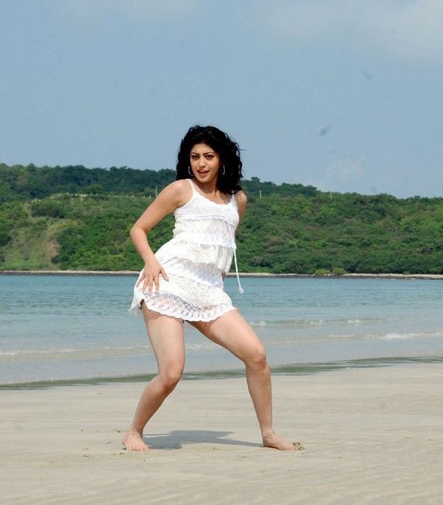 pranitha subhash 9