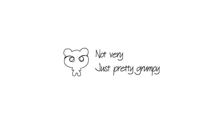 prettygrumpybear 2