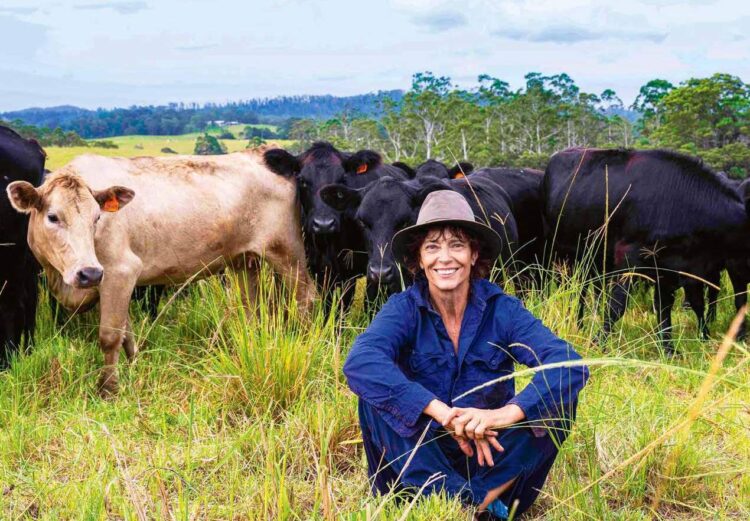 rachel elizabeth ward 8