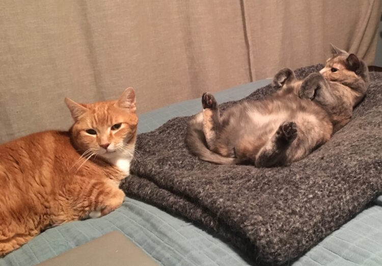 rj keepingupwith tc 2 scaled