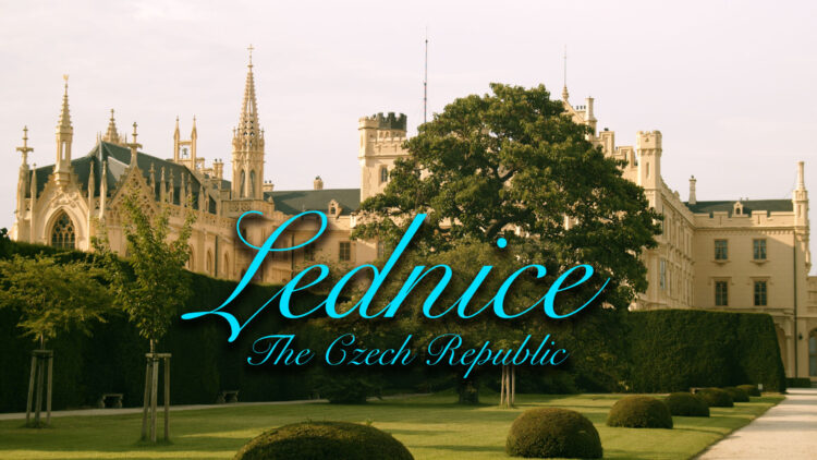 sara rehnmark 4 scaled