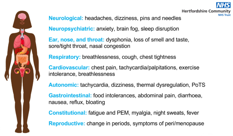 sara seqele 3 scaled