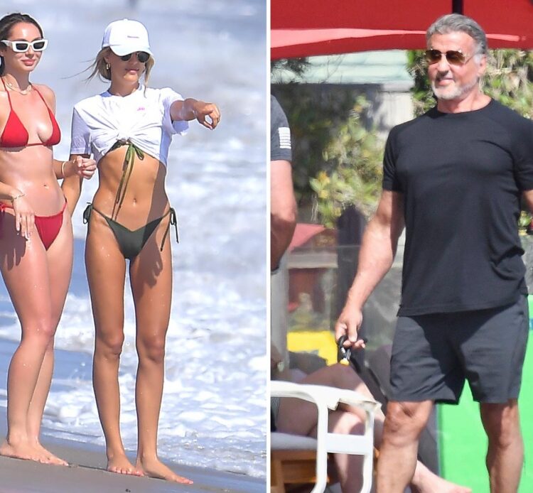 scarlet rose stallone 6