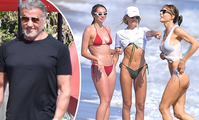 scarlet rose stallone 7