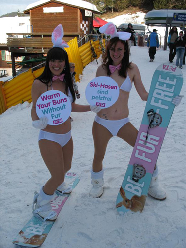 shannon dunn downing 1