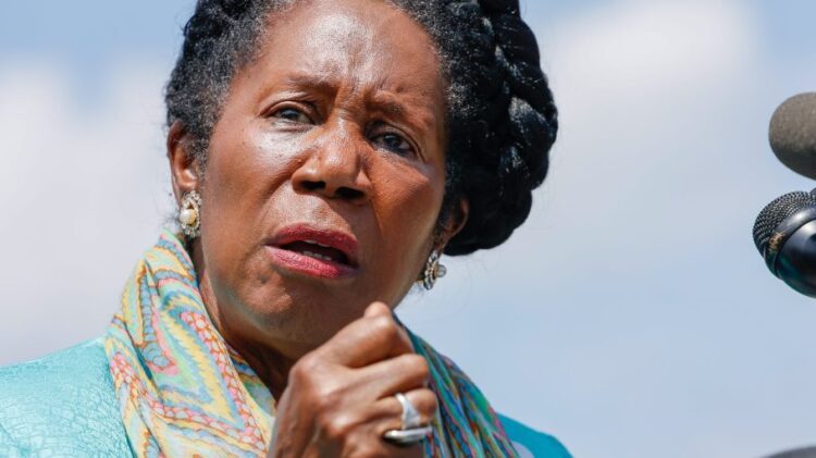 sheila jackson lee 6