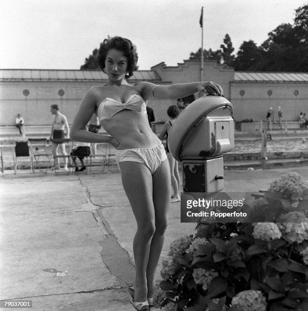 sherley anne williams 4