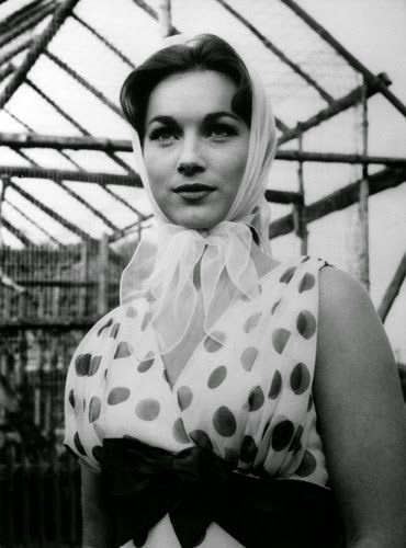 sherley anne williams 5