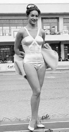 sherley anne williams