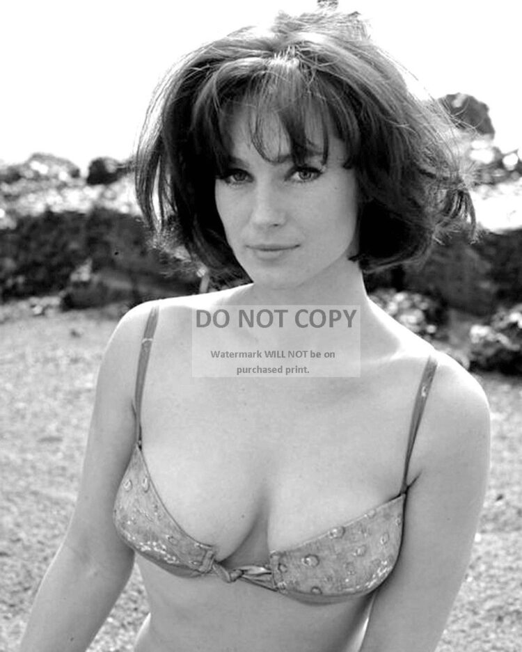 shirley anne field 7