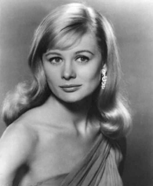 shirley knight 2