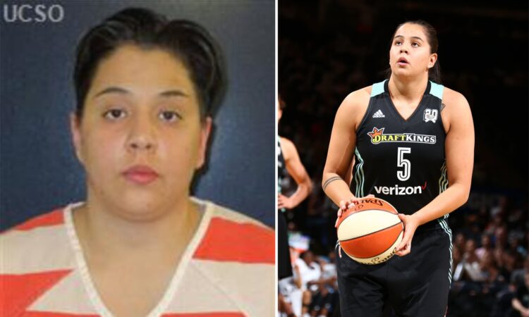 shoni schimmel 12