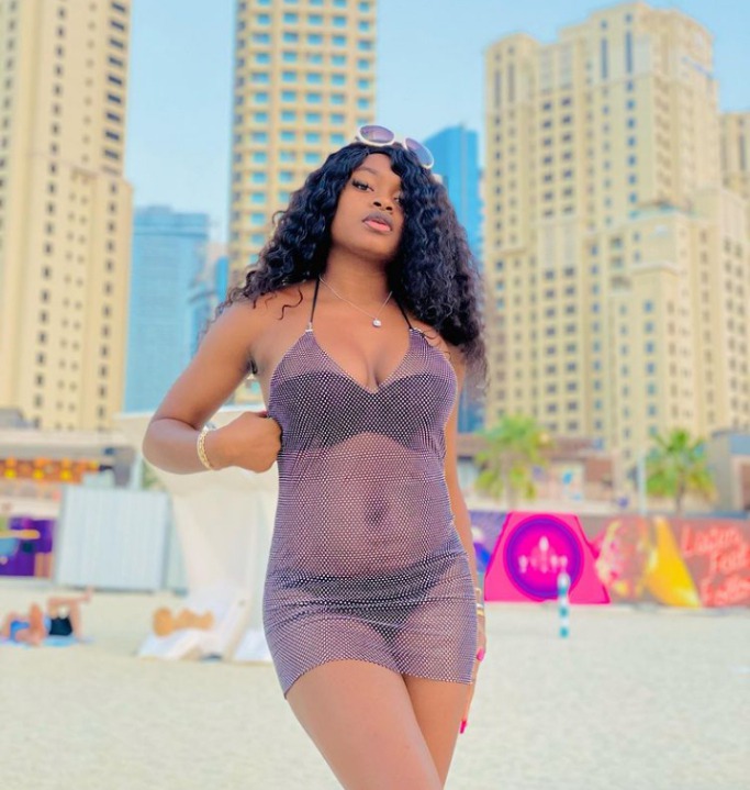 shubomioctet stream 7