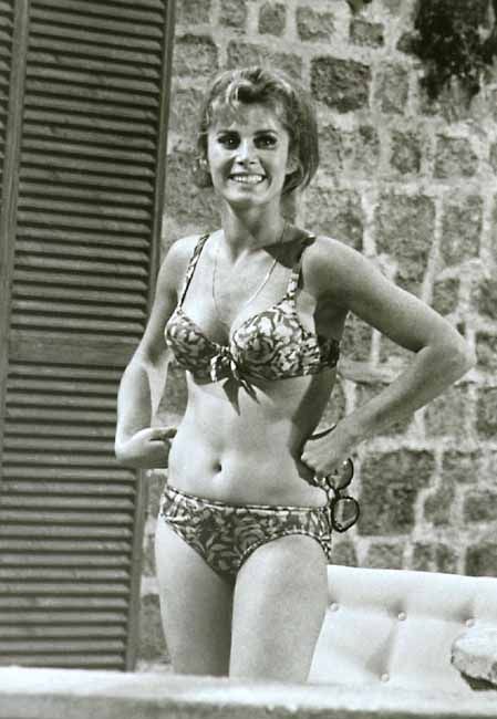 stefanie powers 1