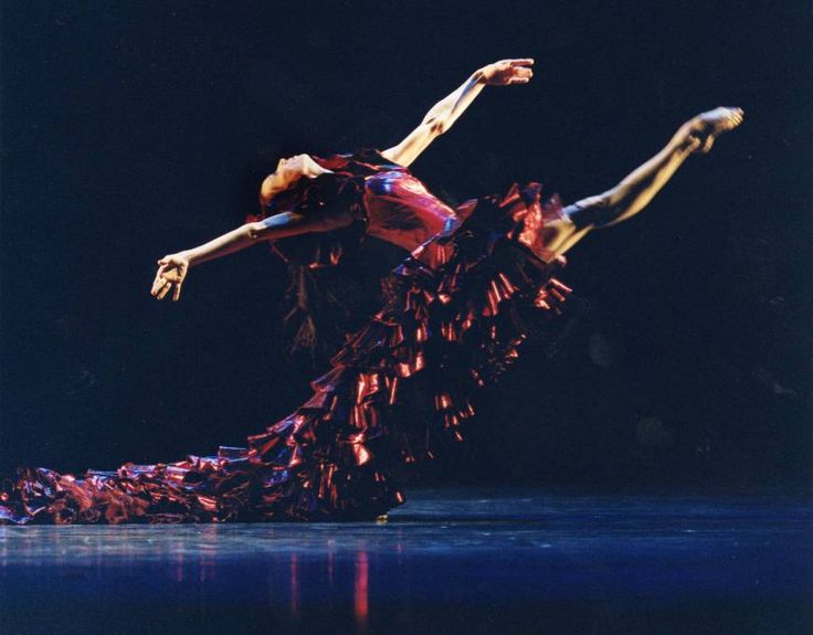 sylvie guillem 4