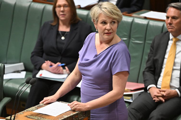 tanya plibersek 6