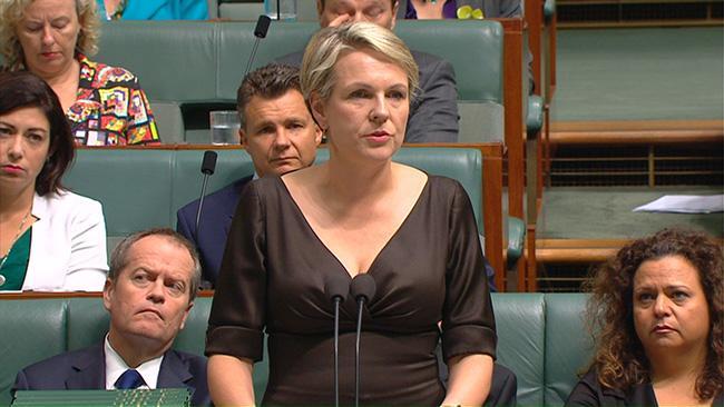 tanya plibersek 8