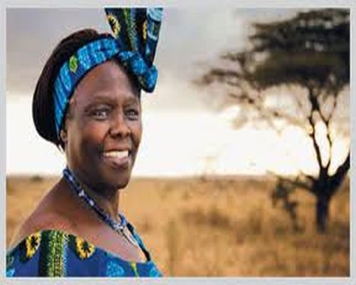 wangari muta maathai 4