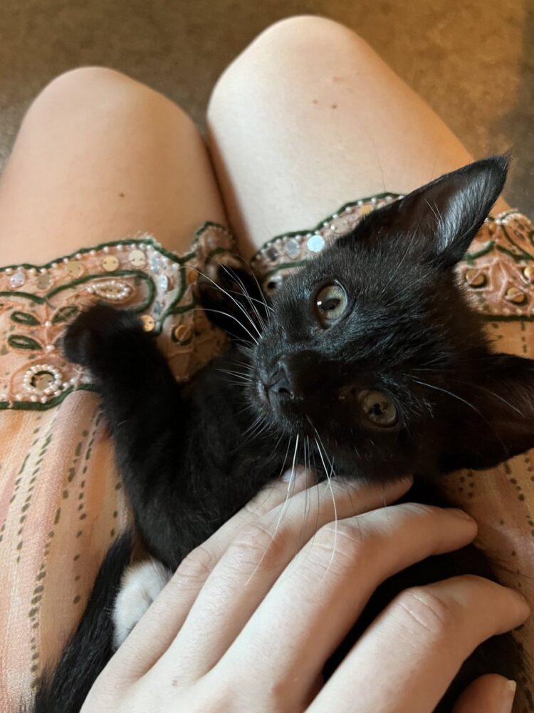 abigail thorn feet 1