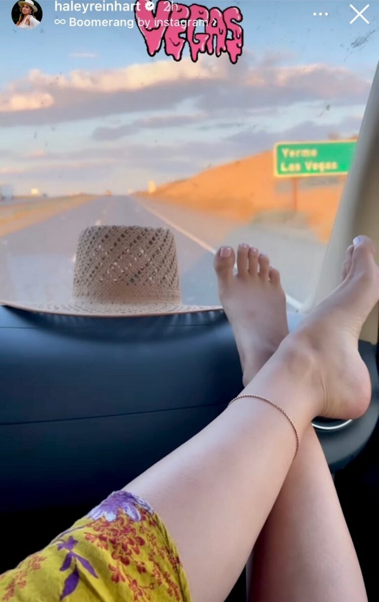 amy reinhart feet 2