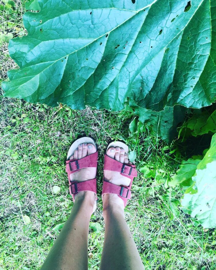 annikas leaf feet 3