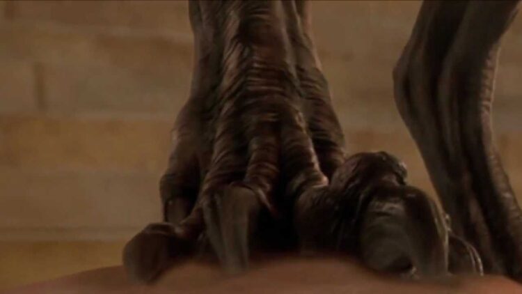 anubis feet 4