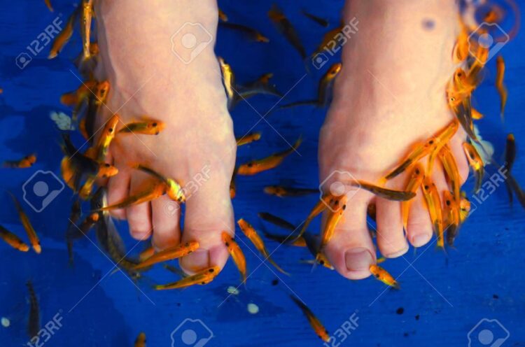 aquaria feet 4