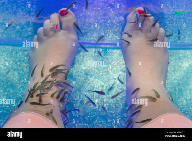 aquaria feet 5