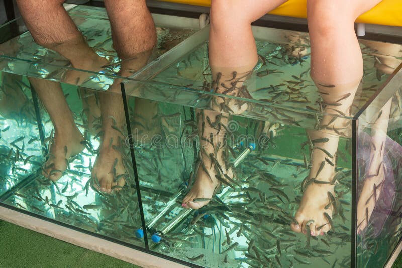 aquaria feet 6