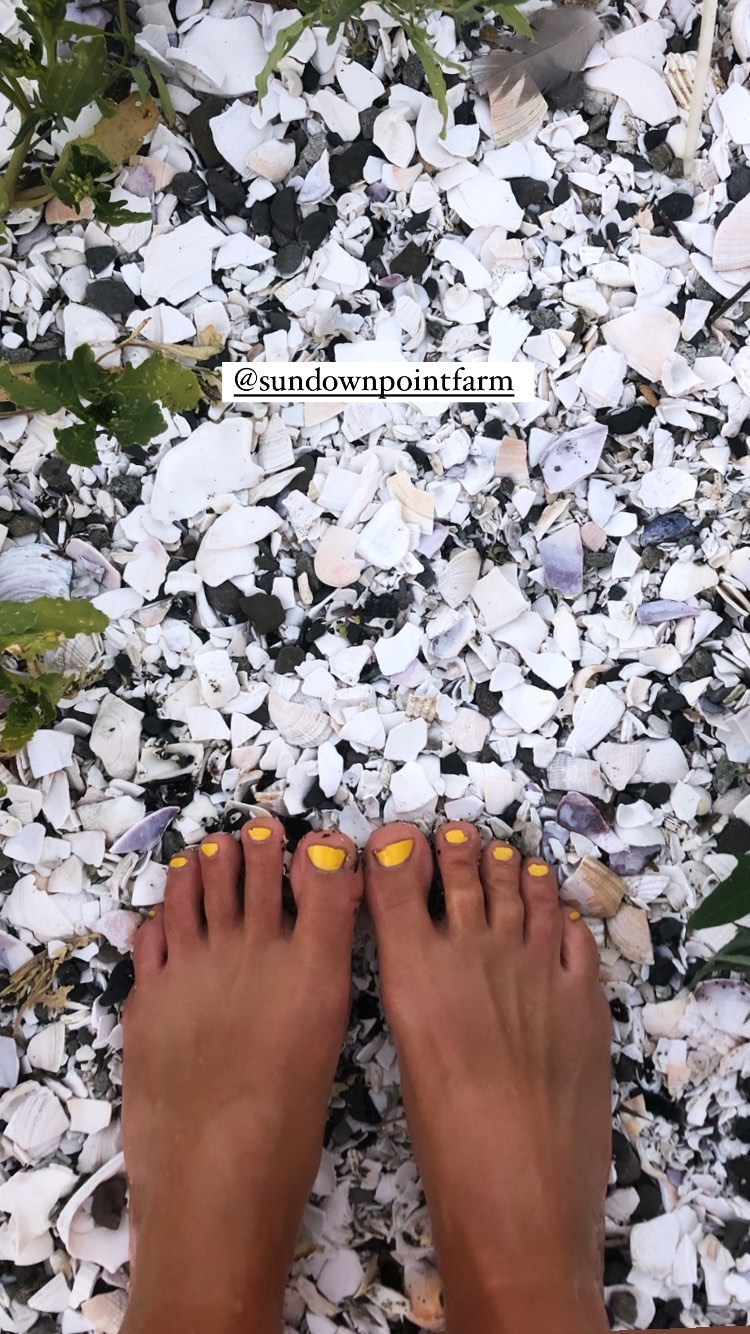 ashleigh ball feet 3