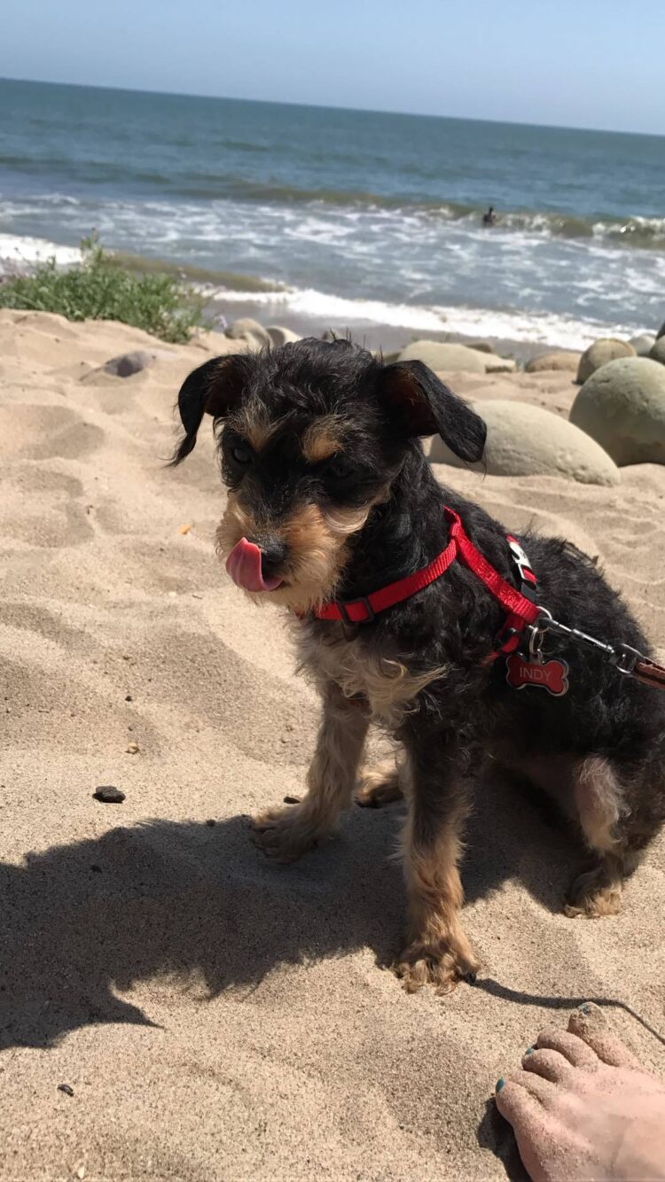 athena stamakinley feet 2