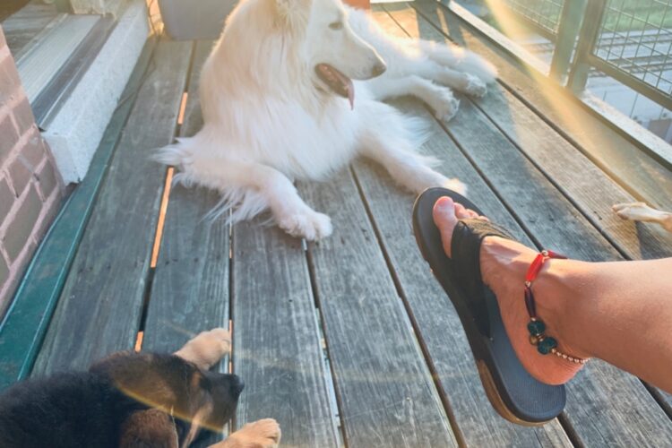 audrie shepherd feet 3