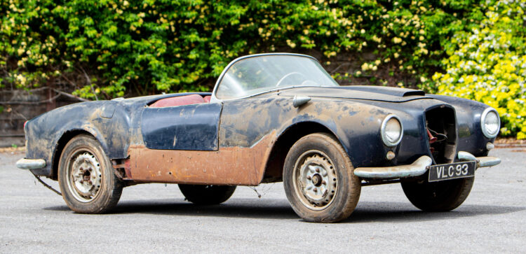 aurelia carisa feet 4 scaled