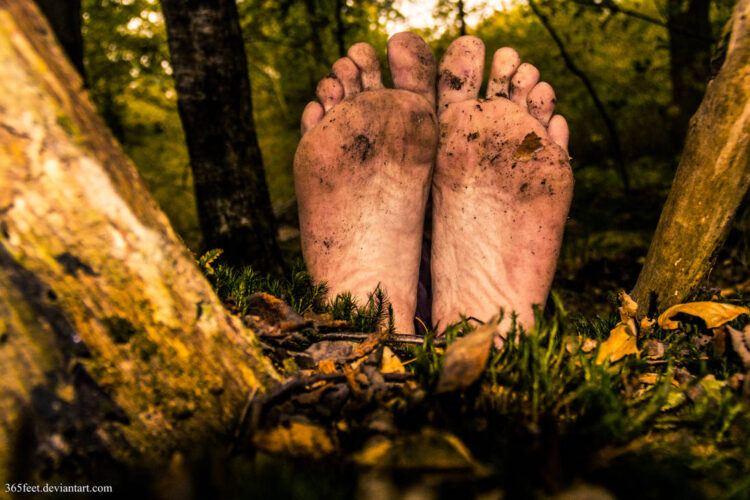 autumn de forest feet 1