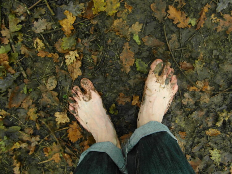 autumn de forest feet 2