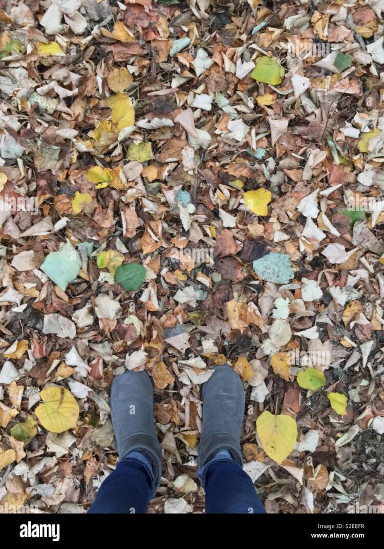 autumn jean feet