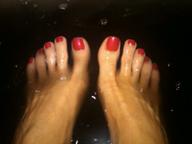 ava addams feet 5