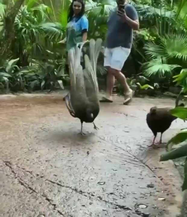 avinash kaushik feet 3