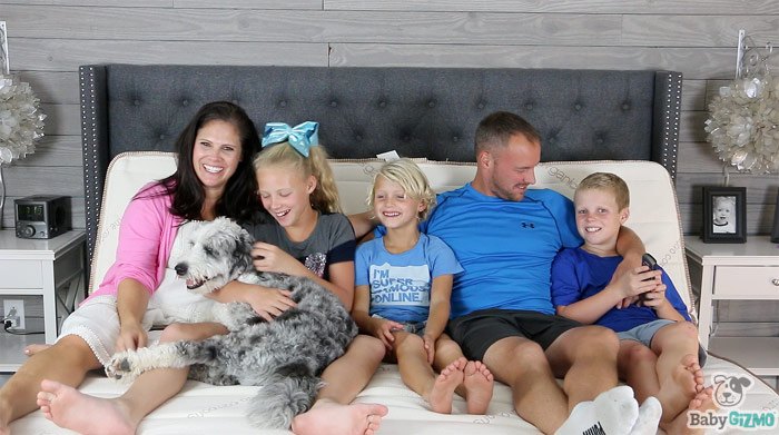 baby gizmo savannah feet