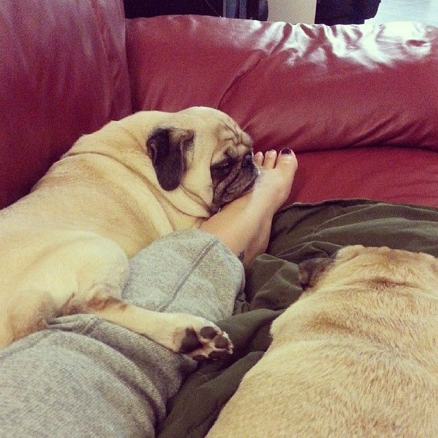 bah humpug feet 1