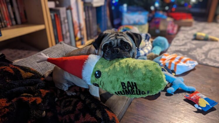 bah humpug feet 4 scaled