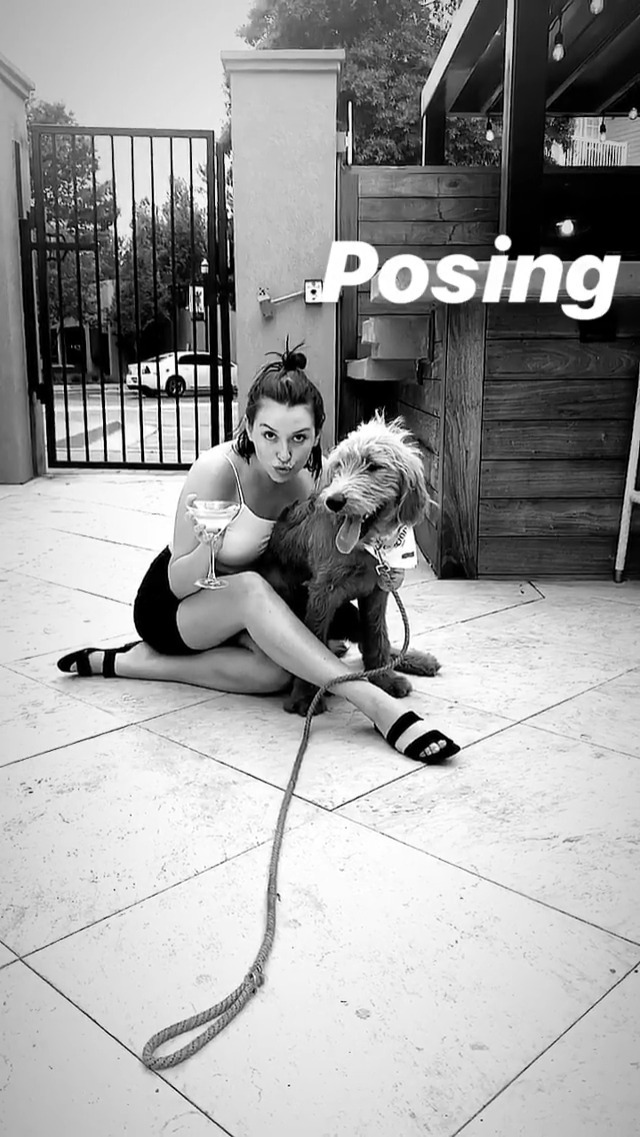 bailey borders feet 4