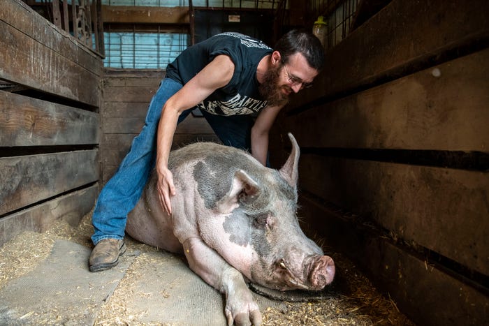 bailey norton feet 6