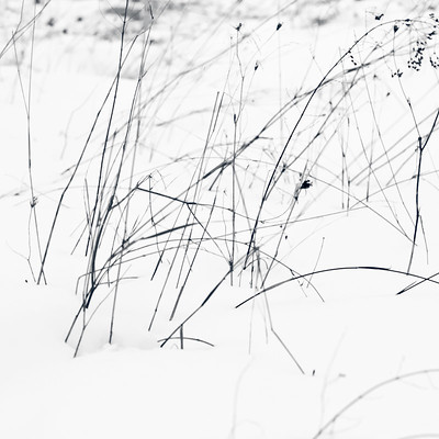 barbara abate feet 3