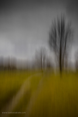 barbara abate feet 4