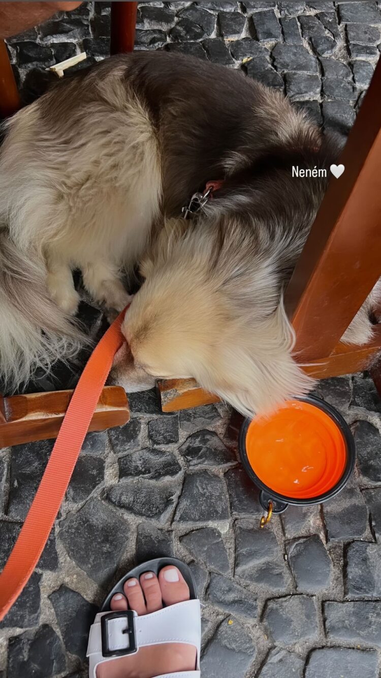 barbara franca feet 6