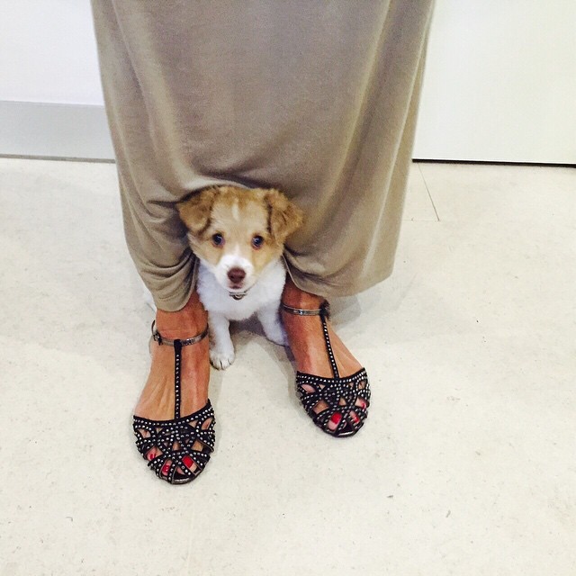 barbara guimaraes feet 5