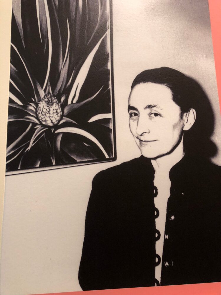 barbara malmet feet 1